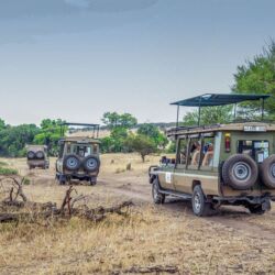 Pembury Tours - Nasikia Mobile Migration Camp - Serengeti National Park - Tanzania - East African Safari - Game Drive - Game Viewing
