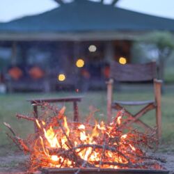 Pembury Tours - Nasikia Mobile Migration Camp - Serengeti National Park - Tanzania - East African Safari - Mobile Tented Accommodation - Bush Dinner