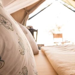 Pembury Tours - Nasikia Mobile Migration Camp - Serengeti National Park - Tanzania - East African Safari - Mobile Tented Accommodation - Suite Interior