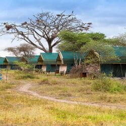 Pembury Tours - Nasikia Mobile Migration Camp - Serengeti National Park - Tanzania - East African Safari - Mobile Tented Accommodation - Suite Exterior