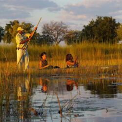 Pembury Tours - Xugana Island Lodge - Okavango Delta - Botswana - Luxury Accommodation - Safari Activities - Mokoro Safari