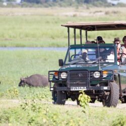 Pembury Tours - Chobe Safari Lodge - Chobe National Park - Kasane - Botswana - Accommodation - Activities - Game Drives - Game Viewing