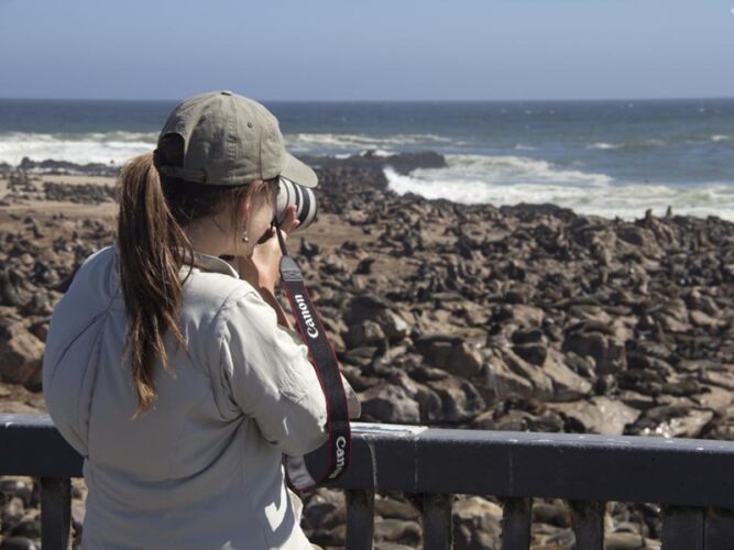 Pembury Tours - Swakopmund Day Trip - Cape Cross - Henties Bay - Skeleton Coast - Namibia - Activities - Seal Colony