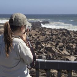 Pembury Tours - Swakopmund Day Trip - Cape Cross - Henties Bay - Skeleton Coast - Namibia - Activities - Seal Colony