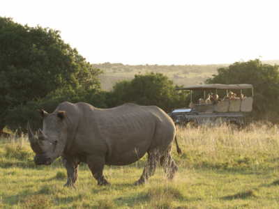 Lalibela Game Reserve