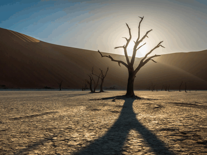 desert safaris Namibia