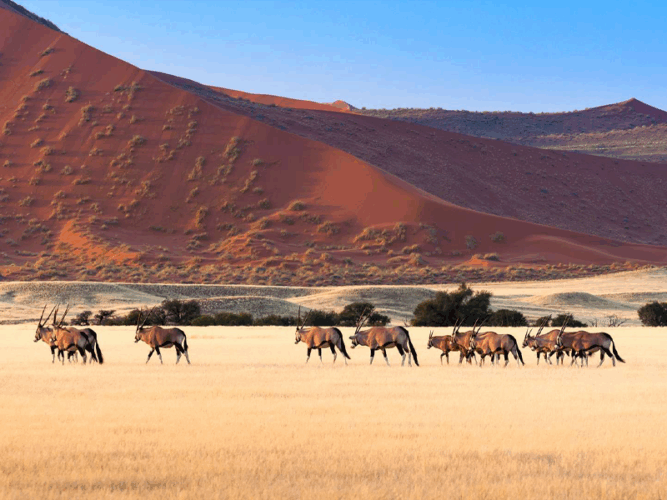 Why you should visit Namibia