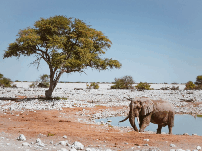 travel to Namibia