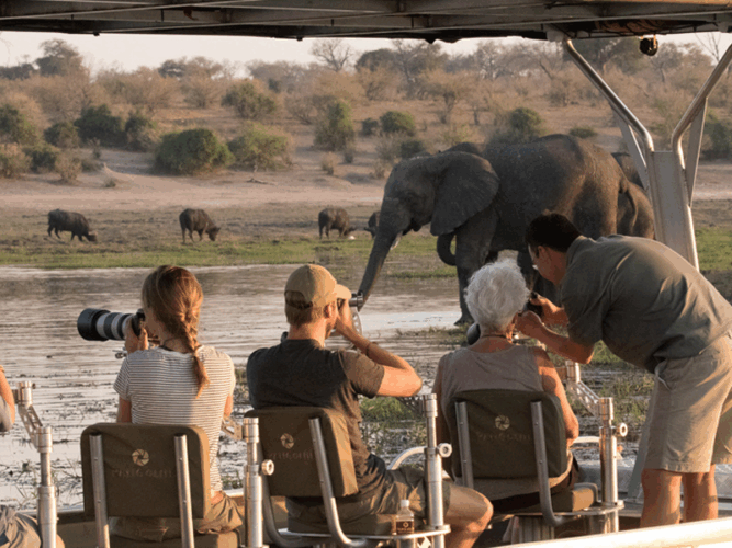 Pembury Tours - Botswana - Chobe - Pangolin Chobe Hotel - Top Photographic Safari Lodges