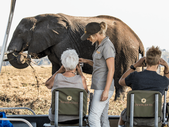 Pembury Tours - Botswana - Chobe - Pangolin Chobe Hotel - Top Photographic Safari Lodges