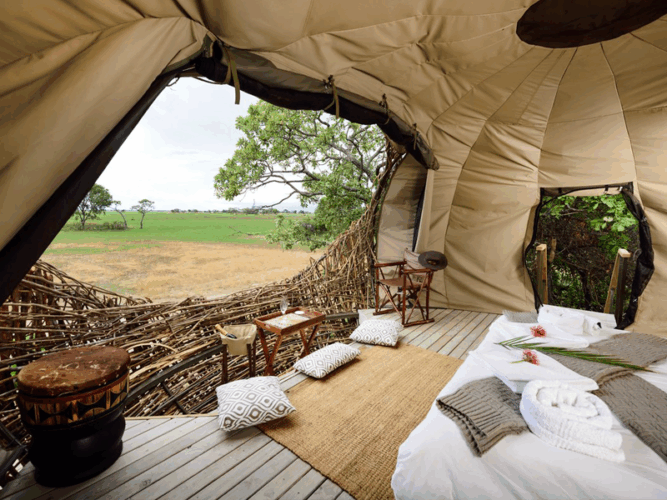 Pembury Tours - Chisa Busunga Camp - Busanga Plains - Kafue National Park -Zambia