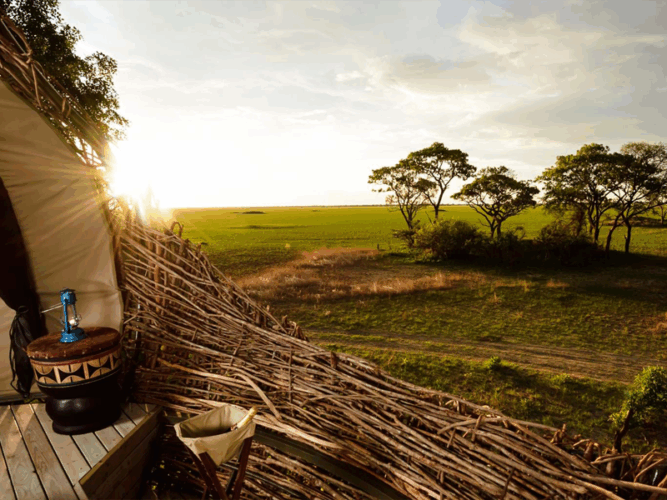 Pembury Tours - Chisa Busunga Camp - Busanga Plains - Kafue National Park -Zambia
