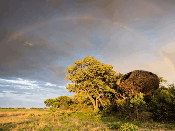 Pembury Tours - Chisa Busunga Camp - Busanga Plains - Kafue National Park -Zambia