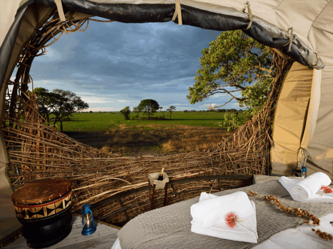 Pembury Tours - Chisa Busunga Camp - Busanga Plains - Kafue National Park -Zambia