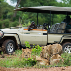 Pembury Tours - Chisa Busunga Camp - Busanga Plains - Kafue National Park -Zambia