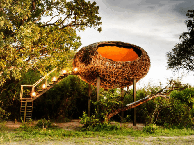 Pembury Tours - Chisa Busunga Camp - Busanga Plains - Kafue National Park -Zambia