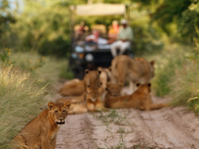 Pembury Tours - African Destinations - Botswana - Central Kalahari