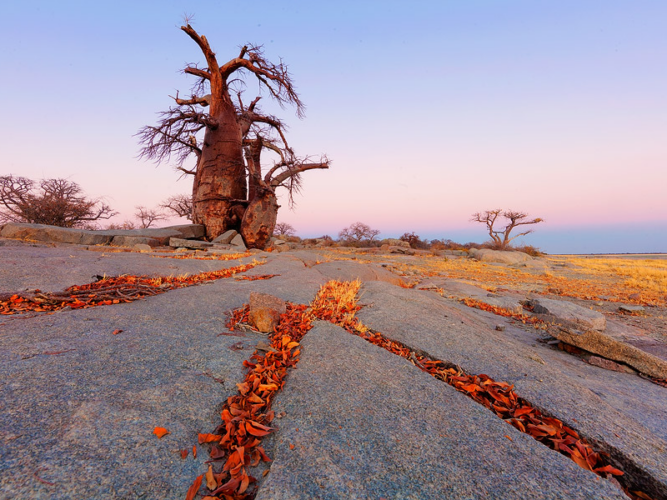 Pembury Tours - African Destinations - Botswana - Makgadikgadi Pans National Park