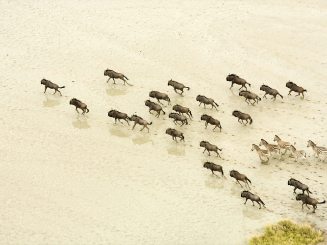 Pembury Tours - African Destinations - Botswana - Makgadikgadi Pans National Park