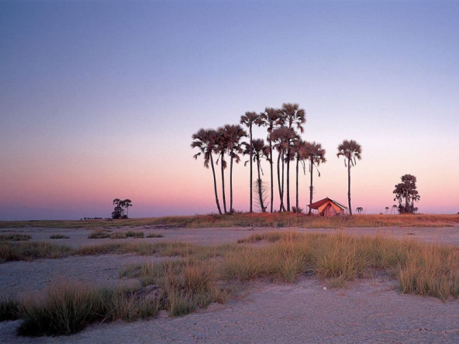 Pembury Tours - African Destinations - Botswana - Makgadikgadi Pans National Park
