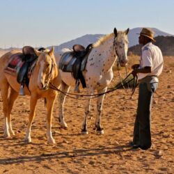 Pembury Tours - Desert Homestead Lodge - Sesriem - Sossusvlei - Namibia - Activities - Horse Riding