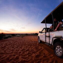 Pembury Tours - Bagatelle Kalahari Game Ranch - Mariental - Kalahari - Namibia - Accommodation - Activity - Game Drive - Sunset