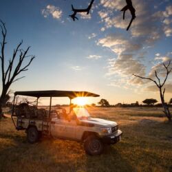 Pembury Tours - The Hide Safari Lodge - Hwange National Park - Zimbabwe - Luxury Accommodation - Game Drives - Best time to Visit Zimbabwe