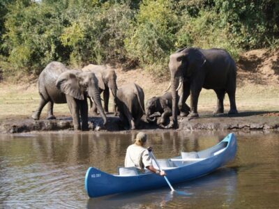 Pembury Tours - Kafue National Park - Zambia - Wildlife - Big Five Game Viewing - Game Drive - Elephant - Canoe Activity