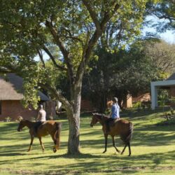 Pembury Tours - Lilayi Lodge - Lusaka - Zambia - Accommodation - Activities - Horseriding