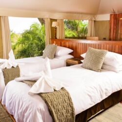 Pembury Tours - Ila Safari Lodge - Kafue Riverfront - Kafue National Park - Zambia - Accommodation - Suite Interior - Twin