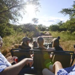 Pembury Tours - Lilayi Lodge - Lusaka - Zambia - Accommodation - Lodge Activities - Game Drive - Big Five Game Viewing