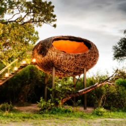 Pembury Tours - Kafue National Park - Chisa Busanga Camp - The Nest - Busanga Plains - Luxury Accommodation - Treetop Accommodation - Suite Exterior