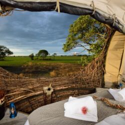 Pembury Tours - Kafue National Park - Chisa Busanga Camp - The Nest - Busanga Plains - Luxury Accommodation - Treetop Accommodation - Suite Interior